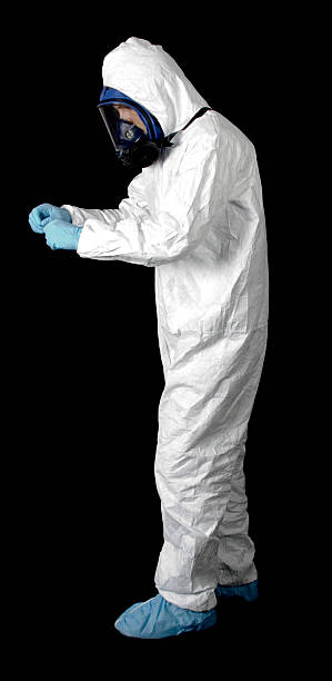 Trusted Norton Center, MA Mold Removal Experts