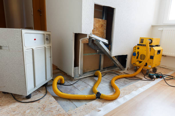 Best Biohazard Mold Removal  in Norton Center, MA